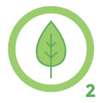 tree oxygen icon The Green Truck Moving & Storage Company